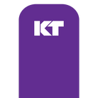 KT Tape KT Original Tape Precut (5 x 25cm) - 20 pcs - 5 Meters