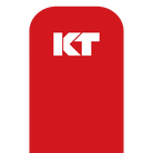 KT Tape KT Original Tape Precut (5 x 25cm) - 20 pcs - 5 Meters
