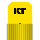 KT Tape KT Pro Tape Precut (5 x 25cm) - 20 pcs