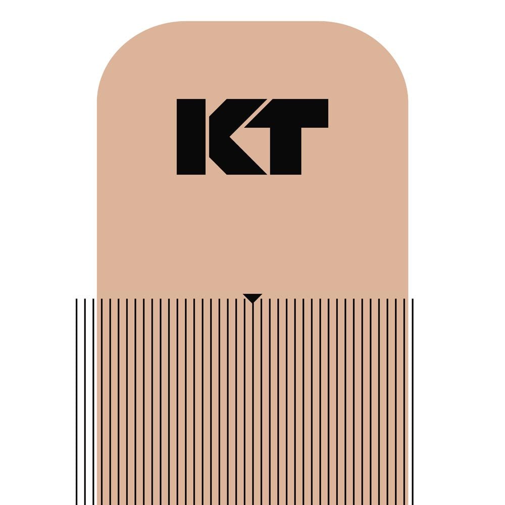 Lot de 20 porte-étiquettes magnétiques prédécoupées 10 x 60 mm. Aimant Lot de 20 porte-étiquettes magnétiques prédécoupées 10 x 60 mm. Aimant