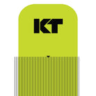 KT Tape KT Pro Tape Precut (5 x 25cm) - 20 pcs