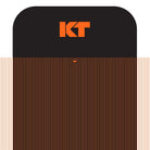 KT Tape KT Pro Wide Tape Precut (10 x 25cm) - 10 pcs - 2,5 Meter